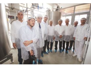 Mado, Saatte 5 Ton Dondurma Üretiyor