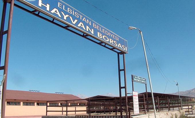 Elbistan Hayvan Borsası Yeniden Açıldı