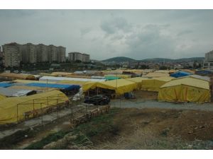 İstanbullulara Duyurulur Kurbanlıklar Geldi
