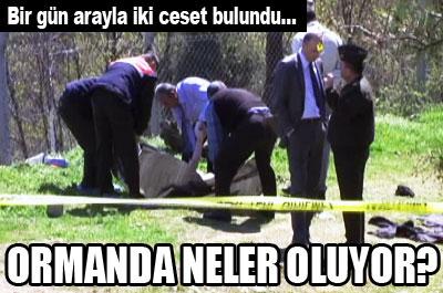 Ormanda iki ceset bulundu! 
