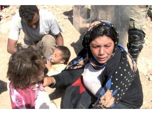 Suriyeliler Kayıt İçin Bölge Yatılı Okuluna Gönderildi