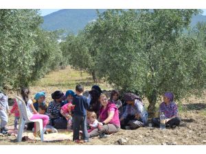 Somalı Köylülerin Zeytinlik Nöbeti