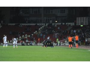 Aslan Balıkesir’de Av Oldu
