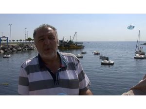 Acılı Babanın Deniz Bisikleti Tepki