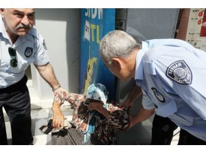 Adanada Suriyeli Dilenci Operasyonu