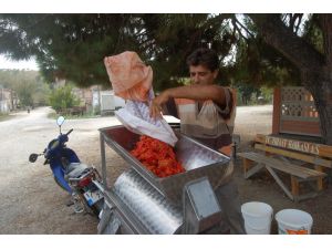 Seyyar Salça Fabrikası