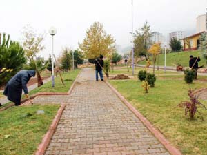 Parklarda Düzenleme Çalışmaları Sürüyor