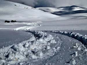 Maroff yılın ilk karını karşıladı