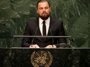 Bm’de Bir Hollywood Yıldızı