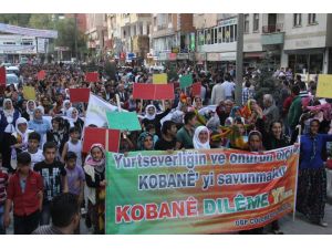 Hakkari, Kobani İçin Tek Yürek Oldu