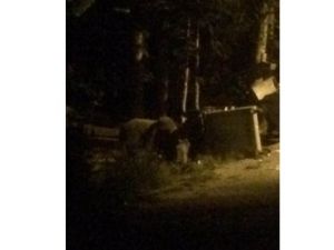 Şehre İndiler Esnaf Panikte