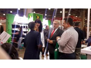 Yalovalı Çiçekçiler Gözlerini Dünya Pazarına Dikti