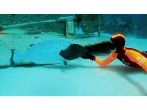 Doğacak Çocuğu İle Okyanusun Derin Sularına Daldı