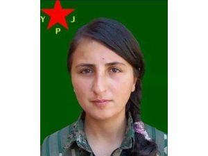 Ypg’li Çiftçi Hakkari’de Toprağa Verildi