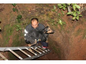 Kuyuya Düşen Köpek Sekiz Saat Sonra Kurtarıldı