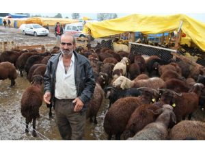 Çamurun İçinde Kurban Satıyorlar