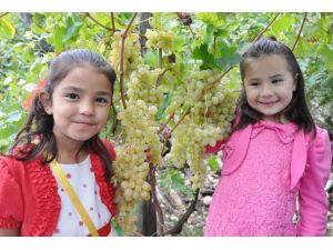 Üzümle Yüzü Gülen Çiftçi Festivalde Coştu
