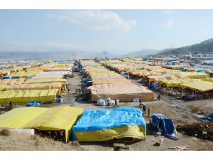 İzmir’de Yüzde 20 Civarında Gebe Kurbanlık Tespit Edildi