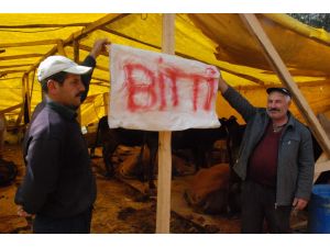 Kurban Satıcıları “Bitti” Yazısı Asmaya Başladı