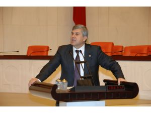 Chp’li Susam’dan Doğalgaz Ve Elektrik Zammına Tepki