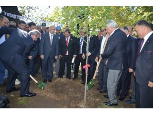 Orhangazi’de Turşu Festivali