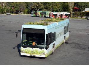 İettden Çevreci Otobüs Botobüs