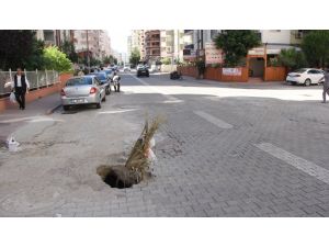 Yoldaki Göçüğe Vatandaş Çözümü