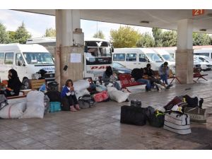Terminalde Suriyeli Hareketliliği