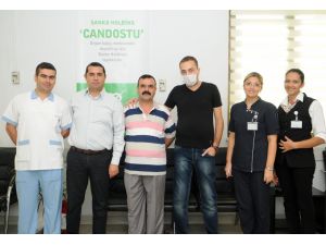 Gaziantepte Organ Nakli