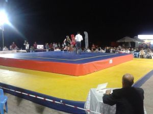 19 Mayıs Wushu Takımı Batmanda Övgü Aldı