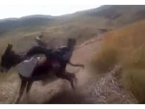 Eşekten Böyle Düşülür