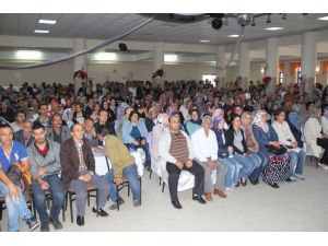 Giresunda Düşük Fındık Rekoltesi İşsizliği Arttırdı