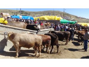 Yozgat’ta Kurbanlık Satışı Hızlandı