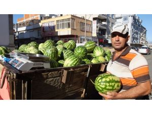 Güz Karpuzu Çiftçileri Sevindirdi