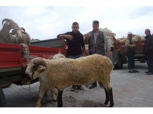 Hayvan Pazarında Arife Yoğunluğu
