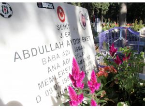 6 Yıldır Şehitliği Muhabbet Kuşuyla Ziyaret Ediyor