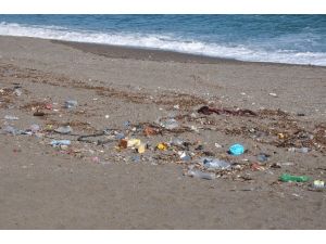 Aym’nin Tib Kararına Tepki