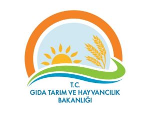 ’’Rusya İle Anlaşıldı’’