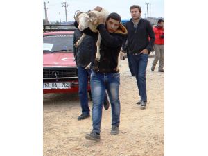 Kurbanlıklar Elde Kaldı