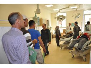 Acemi Kasaplar Hastanelere Koştu