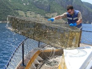 Denizden Tam 45 Ton Ağ Çıkarıldı