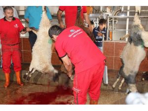 Biri Başbakanın Diğeri Bakan’ın