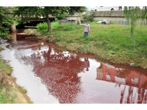 Yalova’da Derelerden Yine Kan Aktı