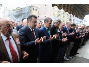 Başın Sağ Olsun Şenol Hoca
