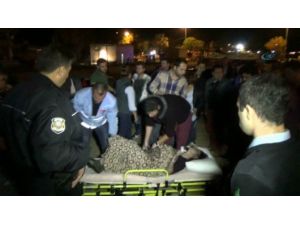 Dereden Yükselen Çığlığa Koştular