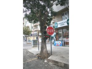 Afyonkarahisar’da Günün Fotoğrafı