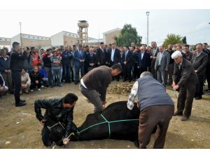 Bu Fabrika Dünyada Bir İlk