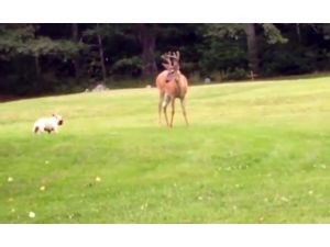 Oyunla Başladı Ama...