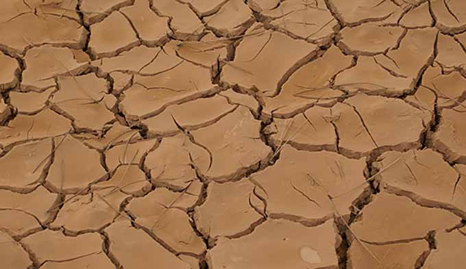 Üretici Kuraklığa Karşı Sigorta İstiyor