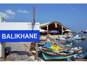 Ayvalık’ta Kurban Bayramında Balık Tüketimi Kurban Etini Solladı